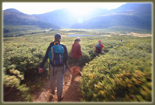On the trail to Mt Bierstadt