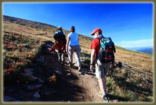 Mt Bierstadt Trail
