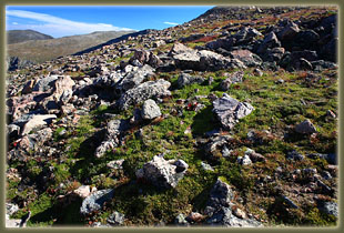 Mt Bierstadt