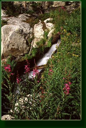 Nokoni Lake outlet, Rocky Mountain National Park