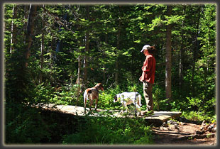 Makenzie, Frank and Andra hiking the North Lone Pine Trail