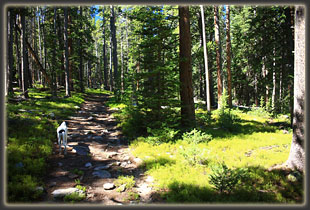 North Lone Pine Trail