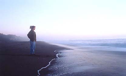 Evening at Gold Beach, Prairie Creek State Park, California