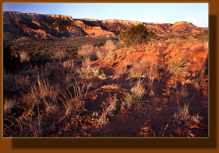 Palo Duro Canyon, Texas