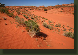 Escalante National Monument