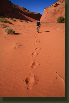 Escalante National Monument