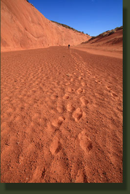 Escalante National Monument