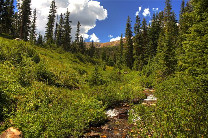 landscape imagery nature photography colorado gallery cameron Neota Wilderness 720x478