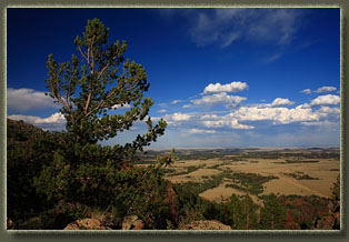 Pole Mountain, Wyoming