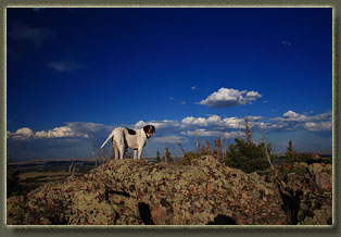 Pole Mountain, Wyoming