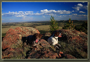 Pole Mountain, Wyoming