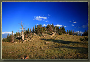 Pole Mountain, Wyoming