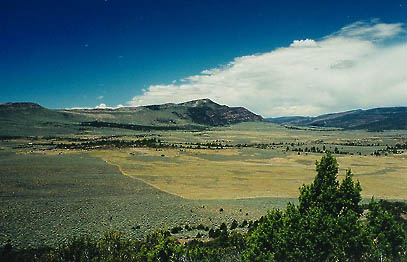 Here, you can see the sagebrush on the left of the road and the mid summer grass on the right.