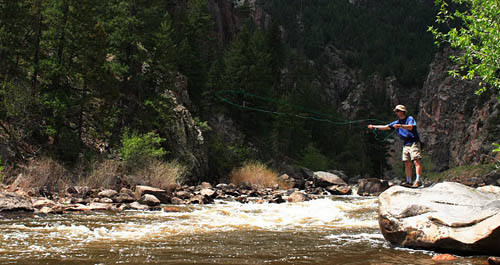 flyfishing on the Poudre River