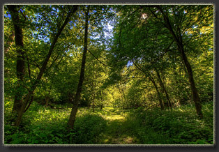 Preparation Canyon State Park