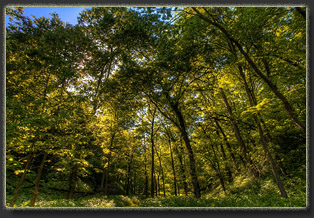 Preparation Canyon State Park