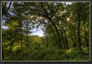 Preparation Canyon State Park