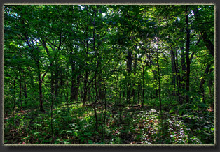 Preparation Canyon State Park