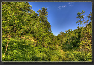 Preparation Canyon State Park