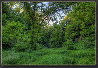 Preparation Canyon State Park