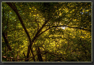 Preparation Canyon State Park