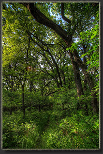 Preparation Canyon State Park