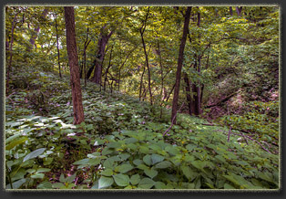 Preparation Canyon State Park