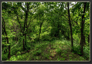 Preparation Canyon State Park