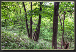 Preparation Canyon State Park