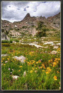 Wind River backpacking