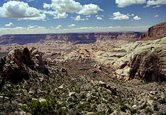 Kaiparowits Plateau from the lower reaches of Navajo Mt