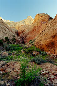 Side canyon near camp in Cliff Canyon