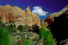 Looking up Cliff Canyon from camp