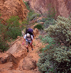 Dave trekking up Redbud Pass