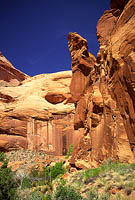 Bridge Creek Canyon