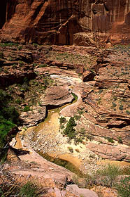 Bridge Creek above Lake Powell and Rainbow Bridge