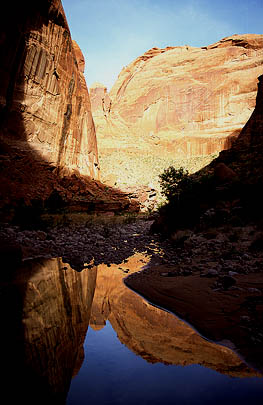 View downstream from camp - Brdige Canyon