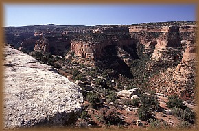 Rattlesnake Canyon