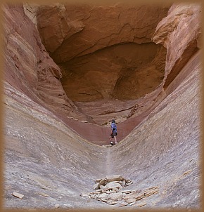 Larry investigates the inside of an arch