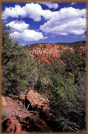 Big Dominguez Canyon WSA