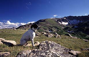 Frank checks out Grassy Pass in the Rawah Wilderness of Colorado