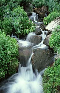 Falls near Lake McIntyre; Rawah Wilderness, Colorado