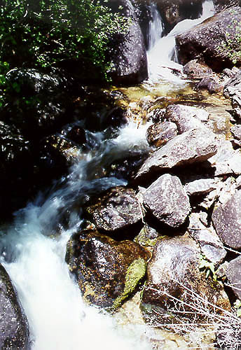 Roaring Creek, Colorado