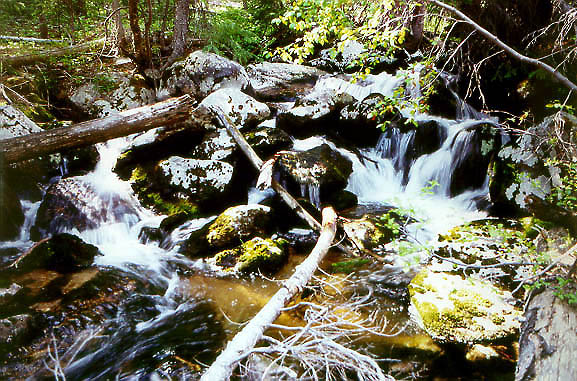 Falls on Roaring Creek, Roosevelt National Forest, Colorado