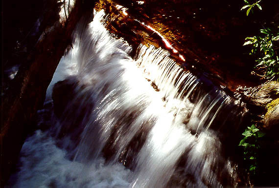Falls on Roaring Creek; Roosevelt National Forest, Colorado