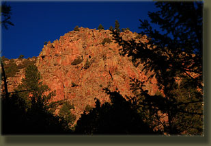 Early morning light on the east flank of Red Mt