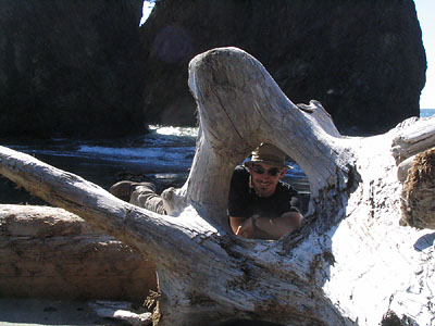 Swimsuit-Model-on-the-Beach pose,  through driftwood.