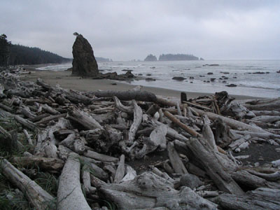 Gray morning on Rialto Beach