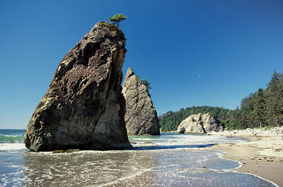 Sea stacks and Hole in the Wall in the distance