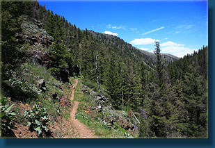 Rock Creek Trail